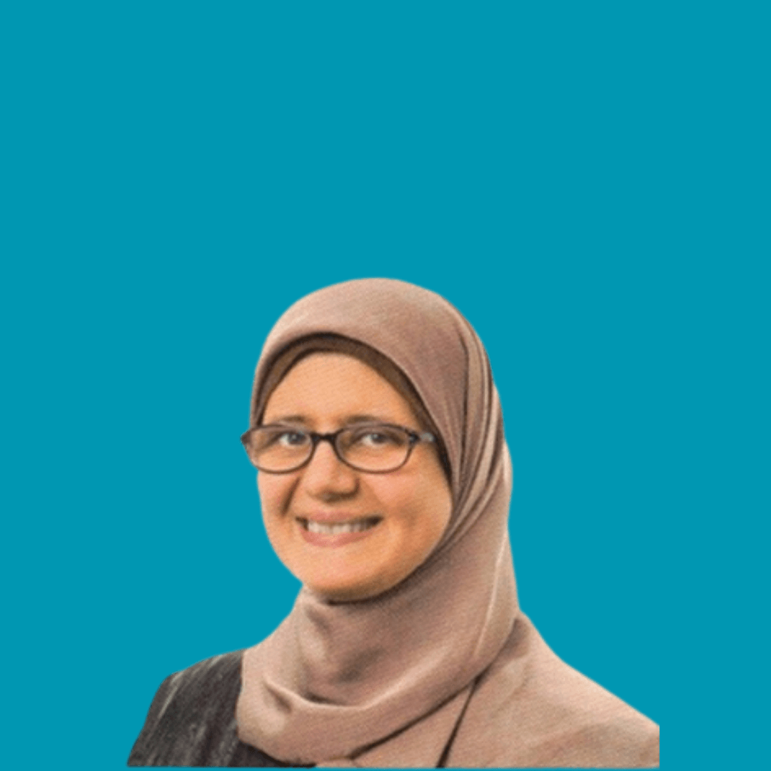 Dr Suzan Elharmeel