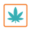 Cannabis Icon